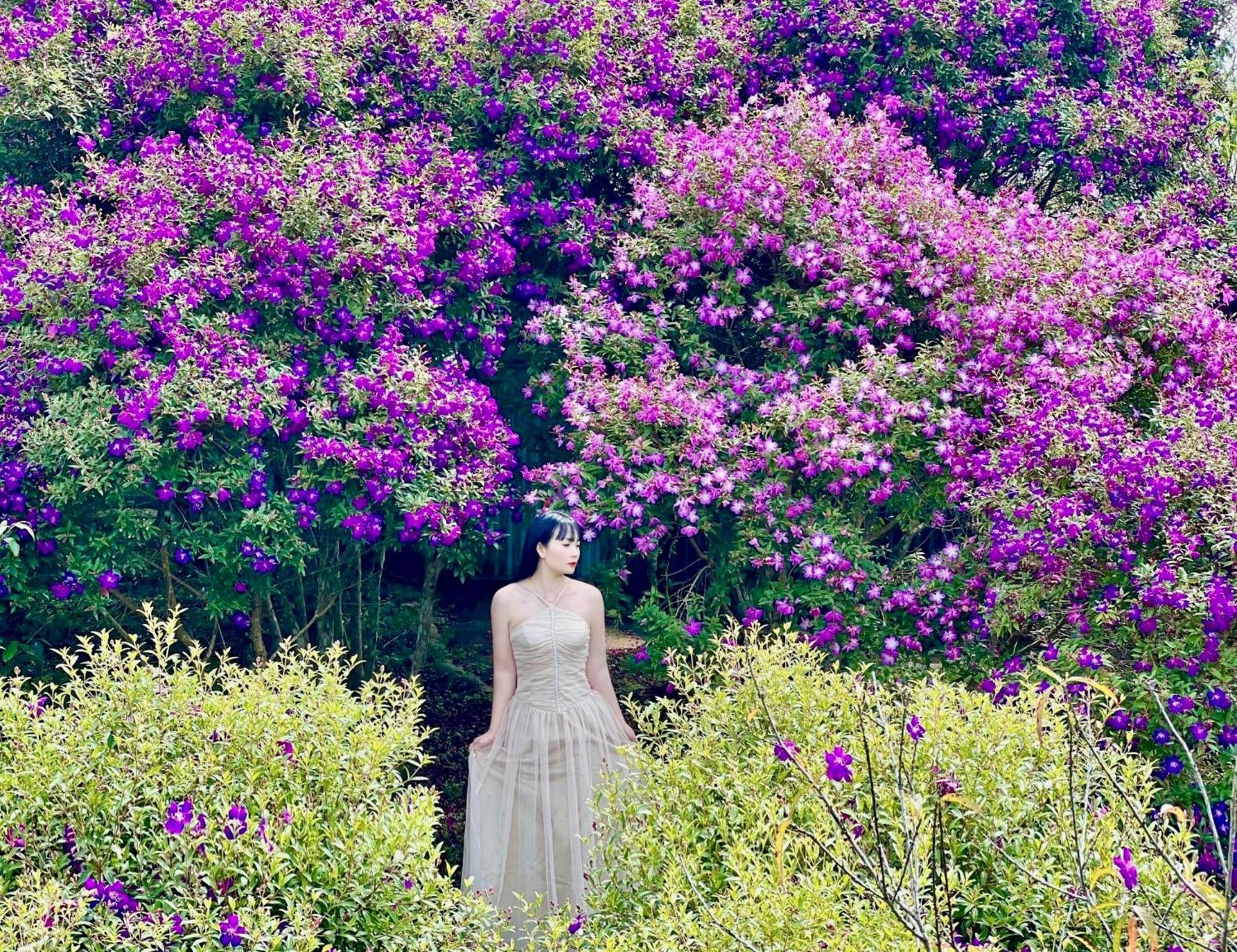 Khong Gian Van Hoa Tra Suoi Giang Nghia Lo Buitenkant foto